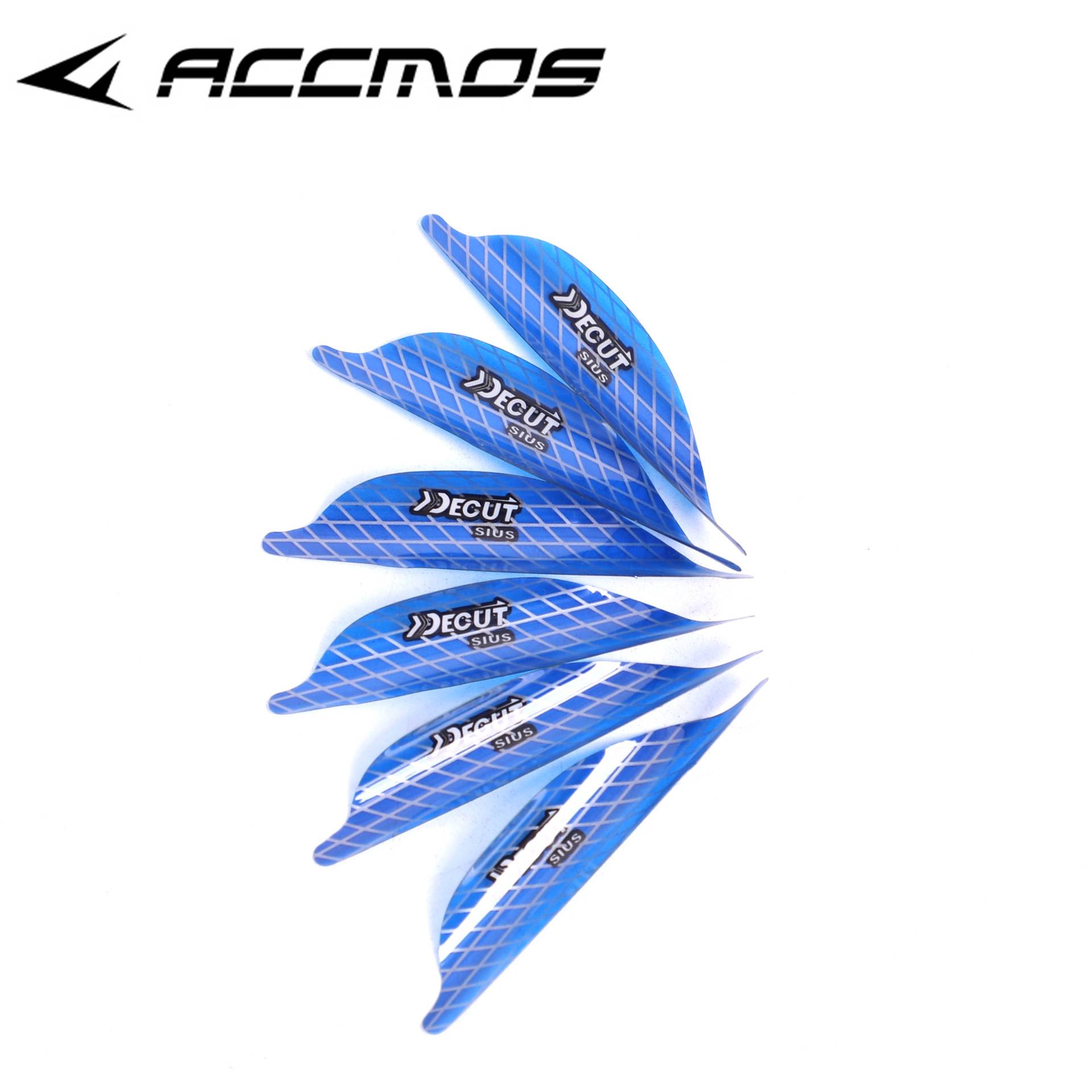 Blue Rounder Right (2 inches)